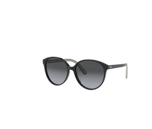 Oliver Peoples Brooktree